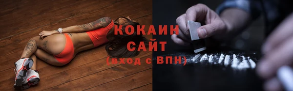 твердый Абаза