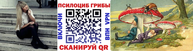 Галлюциногенные грибы Psilocybe  Харабали 
